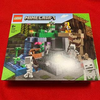LEGO マインクラフト スケルトンの洞窟 21189 新品未開封