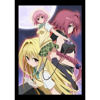 To LOVEる-とらぶる-ダークネス第12巻アニメDVD付予約限定版／矢吹 健太朗、長谷見 沙貴(その他)