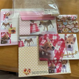 犬 実写 レターセット 平成 レトロ サンエックス シール 柴犬