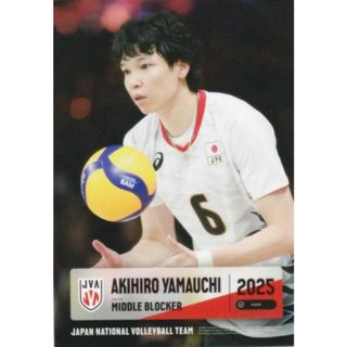 【RG17 山内 晶大 (レギュラーカード) 】 バレーボール男子日本代表2025 トレーディングカード(シングルカード)