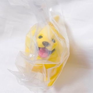 いい感じの棒をゲットした犬 ガチャ ゴールデンレトリバー