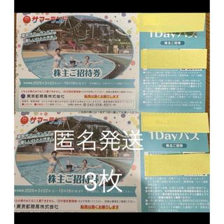 東京サマーランド　株主優待券　3枚セット(遊園地/テーマパーク)