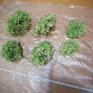 紫陽花　アナベル　ドライフラワー　6本