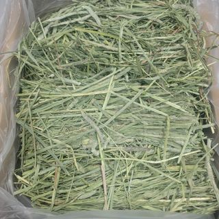 チモシー 19kg ウサギ モルモット うさぎ デグー チンチラ １番刈り 餌(ペットフード)