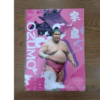 大相撲「宇良」クリアファイル(相撲/武道)
