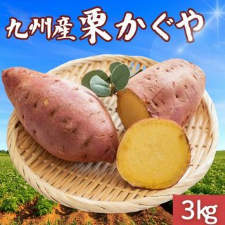 サツマイモ 栗かぐや 3kg 訳あり さつまいも 紅はるか 鳴門金時好きに88(野菜)