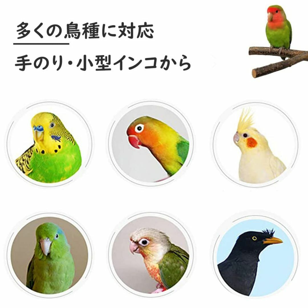 IYOIYA 鳥 キャリー インコ キャリーケース 止まり木付き 文鳥 ケージ  その他のペット用品(鳥)の商品写真