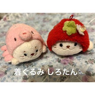 しろたん 着ぐるみマスコット セット(キャラクターグッズ)