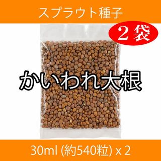 スプラウト種子 S-11 かいわれ大根 30ml 約540粒 x 2袋(野菜)