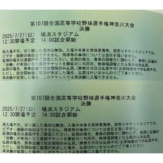 2025 全国高等学校野球選手権神奈川大会 決勝 2連番