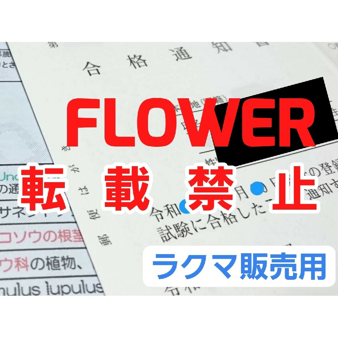 最新 試験対策ABセット 登録販売者テキスト【匿名配送5,800円】ラクマ販売用 エンタメ/ホビーの本(語学/参考書)の商品写真