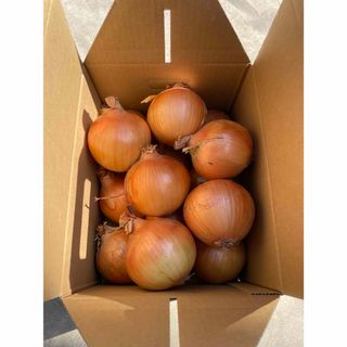 [農家直送]送料無料 淡路島産 玉ねぎ ターザン３kg Mサイズ ☆秀品☆(野菜)