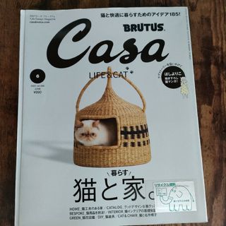 CasaBRUTUS(カ−サブル−タス 2022年6月号(生活/健康)