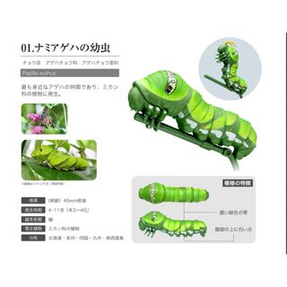 バンダイ(BANDAI)のいきもの大図鑑　いもむし　ナミアゲハの幼虫　フィギュア(その他)