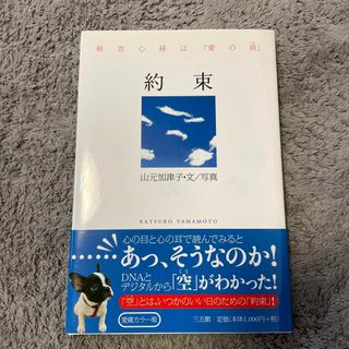 約束　山元加津子