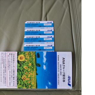 エーエヌエー(ゼンニッポンクウユ)(ANA(全日本空輸))の最新　ANA 株主優待券(その他)