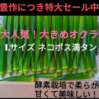 【豊作セール】群馬県産 ガリバー オクラ ネコポス満タン(野菜)