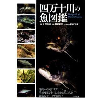 四万十川の魚図鑑/ミナミヤンマ・クラブ/大塚高雄（単行本）