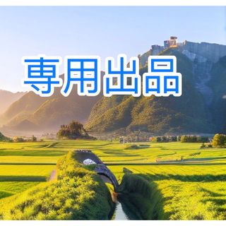 専用出品　数量50