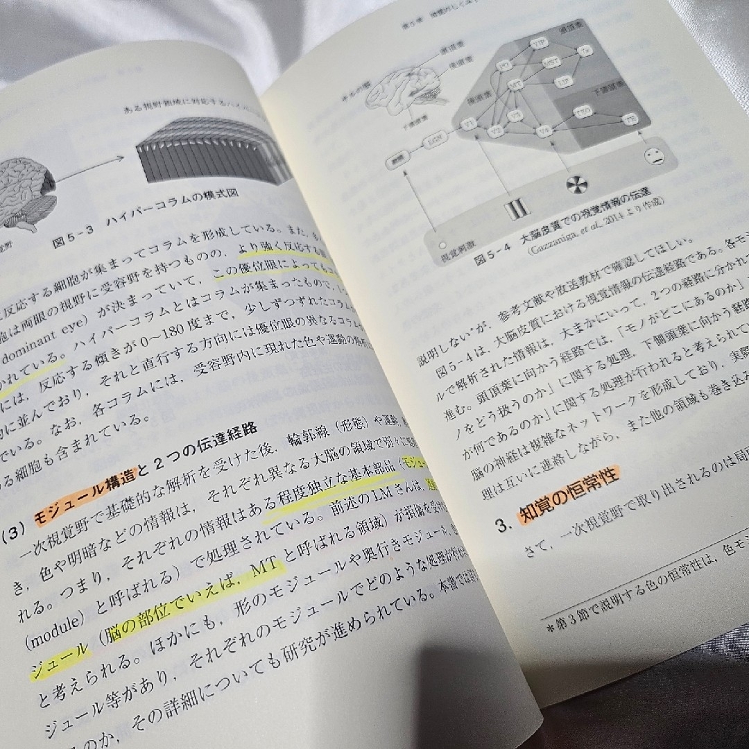 【書き込みありの極美品】知覚・認知心理学 放送大学 石口彰 エンタメ/ホビーの本(人文/社会)の商品写真