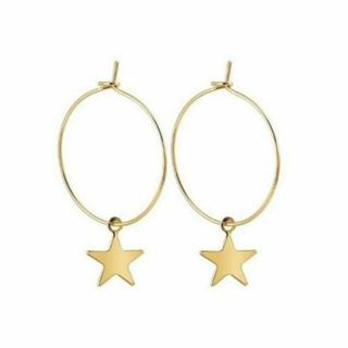 ♪♪ hoop+星　G(ピアス)(ピアス)