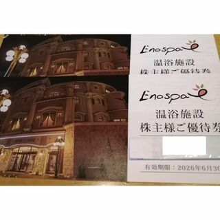 【最新】 江の島アイランドスパ 株主優待券 2枚 飯田グループホールディングス(その他)