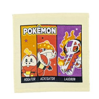 ポケモン ウォッシュタオル ハンドタオル ポケットモンスター　ホゲータ進化系(キャラクターグッズ)
