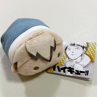 ハイキュー
