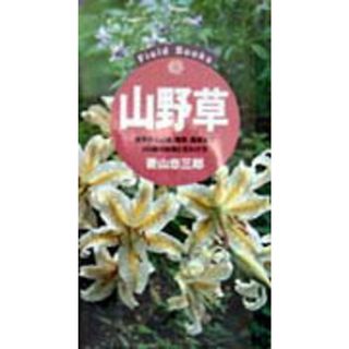 山野草 雑草から山菜、薬草、毒草まで４５０種の特徴と見わけ/主婦の友社/菱山忠三郎（単行本）(科学/技術)