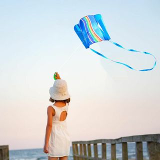 【数量限定】カイト 凧 ポケットカイト 骨なし よく飛ぶ 凧揚げ たこあげ