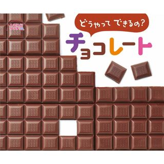 どうやってできるの？チョコレート/ひさかたチャイルド/田村孝介（単行本）(絵本/児童書)