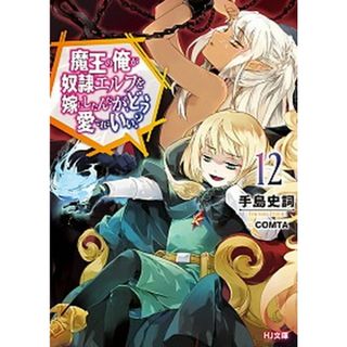 魔王の俺が奴隷エルフを嫁にしたんだが、どう愛でればいい？  １２ /ホビ-ジャパン/手島史詞（文庫）(その他)