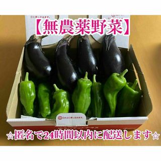 【安心の無農薬野菜】匿名配送　自家菜園　ナスとピーマンの夏野菜セット(野菜)
