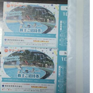 東京サマーランドの１Dayパス2枚(プール)