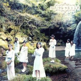 コップの中の木漏れ日（Ｔｙｐｅ－Ｂ）（通常盤）（ＤＶＤ付）(ポップス/ロック(邦楽))
