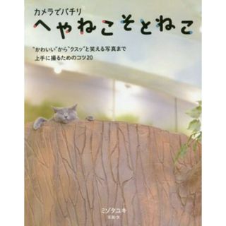 へやねこそとねこ カメラでパチリ／ミゾタユキ(著者)(住まい/暮らし/子育て)