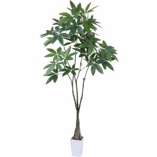 【在庫処分】人工観葉植物 フェイクグリーン 観葉樹 造花 パキラ【高さ165cm(その他)