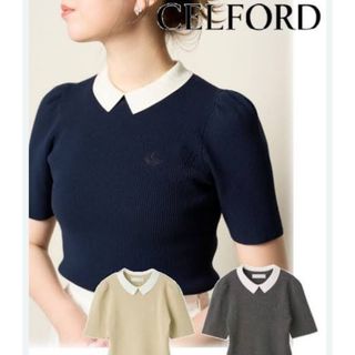 CELFORD 襟付ニットプルオーバー