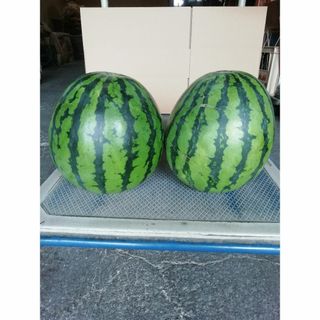 訳アリ　山形県 尾花沢産すいか（祭りばやし）7-8ｋｇｘ2玉入れ(フルーツ)