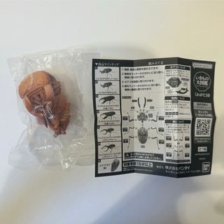 バンダイ(BANDAI)のオオクワガタ　蛹　いきもの大図鑑　くわがた10(その他)