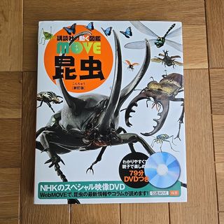 昆虫 （講談社の動く図鑑ＭＯＶＥ） （新訂版） 養老孟司／監修