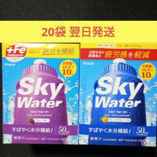 クラシエ(Kracie)のスカイウォーター グレープ味　グレープフルーツ味 1L用 10袋 × 2翌日発送(ソフトドリンク)