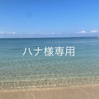 【ハナ様専用】GooglePixel9Aケース　ハワイアン雑貨　サーフ系(Androidケース)