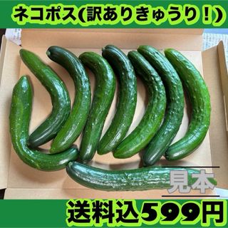 きゅうり(訳あり！)ネコポス(野菜)