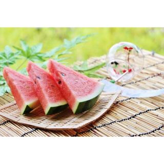 季節限定 お土産セット③(食器)