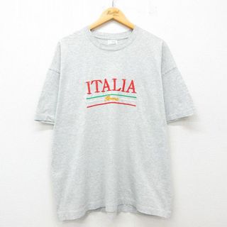 フルーツオブザルーム(FRUIT OF THE LOOM)のXL★古着 スクリーンスターズ フルーツオブザルーム 半袖 ビンテージ Tシャツ メンズ 90年代 90s イタリア 刺繍 大きいサイズ クルーネック アイルランド製 薄グレー 霜降り 25jul23 中古(Tシャツ/カットソー(半袖/袖なし))