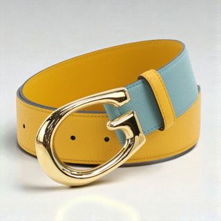 グッチ(GUCCI)のグッチ GUCCI 小物 ユニセックス GU94795 Gバックル バイカラー(その他)