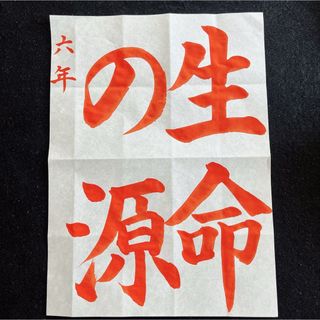 JA共済書道コンクールお手本⭐︎六年　生命の源⭐︎(書)