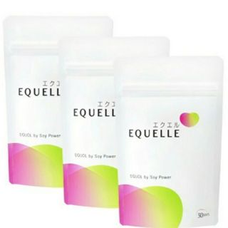 オオツカセイヤク(大塚製薬)の【匿名発送新品未開封】 大塚製薬 エクエル パウチ 120粒 30日分×3袋(その他)