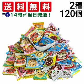 フジヤ(不二家)の【 送料無料 あす楽 】不二家 カントリーマアム 2種 食べ比べ  ( バニラ & ココア ) 120個 詰め合わせ アソート セット まとめ買い(菓子/デザート)